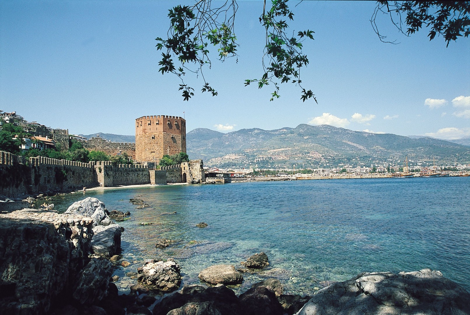 Alanya’da Hızlı Kapınızda: Kestel, Kargıcak ve Mahmutlar Damacana Su Hizmeti